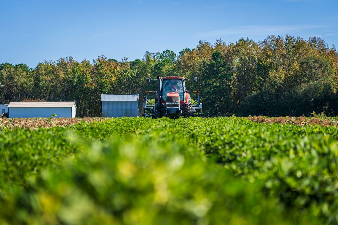 A modern tractor operates in a lush green field surrounded by trees on a sunny day.